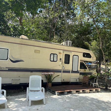 Momotoh Camper Hotel Xpujil Bagian luar foto